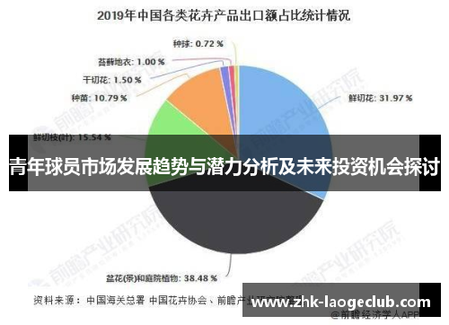 青年球员市场发展趋势与潜力分析及未来投资机会探讨 青年球员市场发展趋势与潜力分析及未来投资机会探讨